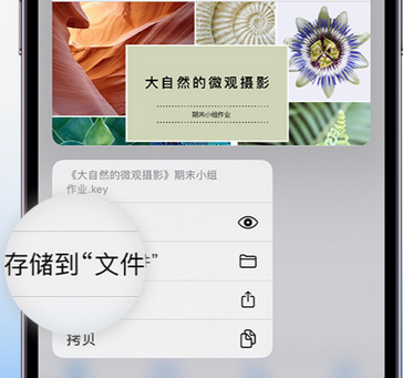 讷河apple维修中心分享iPhone文件应用中存储和找到下载文件