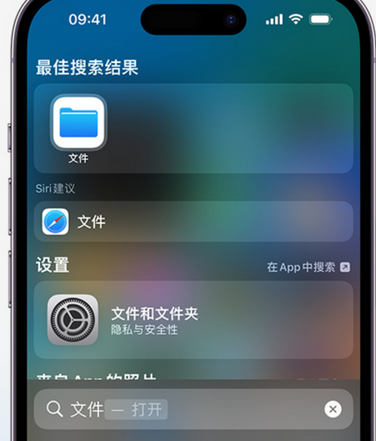 讷河apple维修中心分享iPhone文件应用中存储和找到下载文件