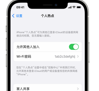 讷河apple服务站点分享iPhone上个人热点丢失了怎么办