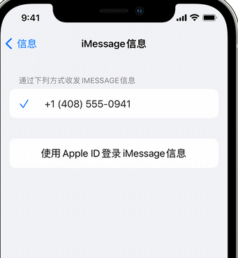 讷河apple维修iPhone上无法正常发送iMessage信息 