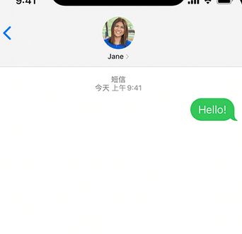 讷河apple维修iPhone上无法正常发送iMessage信息