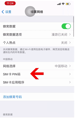 讷河苹果14维修网分享如何给iPhone14的SIM卡设置密码 