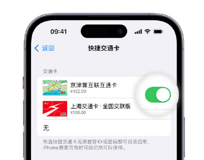 讷河apple维修点分享iPhone上更换Apple Pay快捷交通卡手绘卡面 