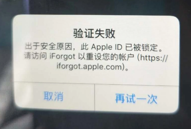 讷河iPhone维修分享iPhone上正常登录或使用AppleID怎么办 