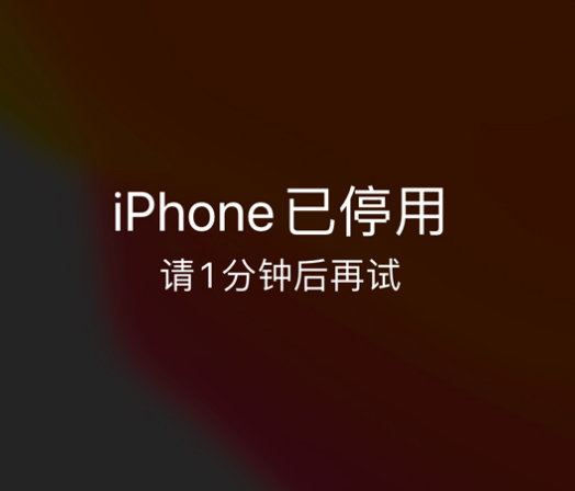 讷河苹果手机维修分享:iPhone 显示“不可用”或“已停用”怎么办？还能保留数据吗？ 