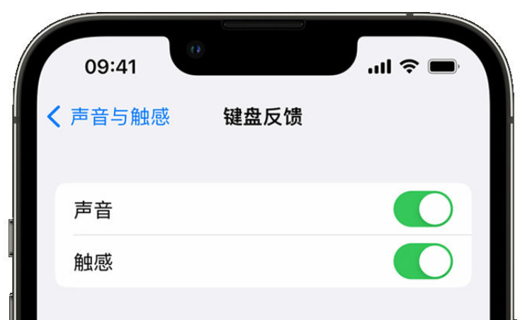 讷河苹果手机维修分享iPhone 14触感键盘使用方法 