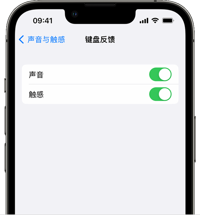 讷河苹果14维修店分享如何在 iPhone 14 机型中使用触感键盘 