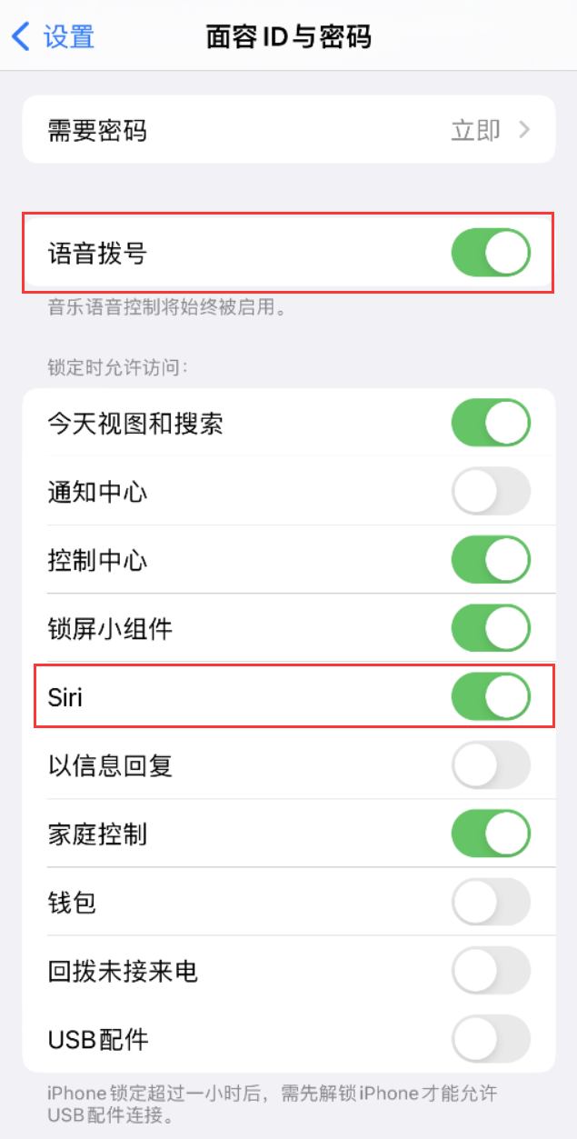 讷河苹果维修网点分享不解锁 iPhone 的情况下通过 Siri 拨打电话的方法 