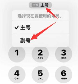 讷河苹果14维修店分享iPhone 14 Pro Max使用副卡打电话的方法 