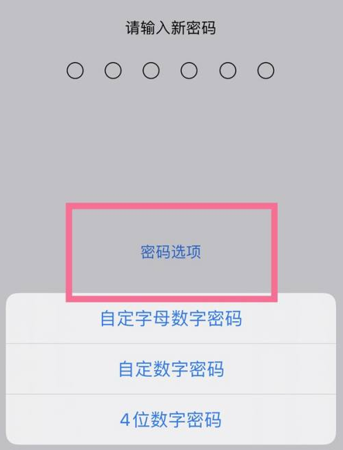 讷河苹果14维修分享iPhone 14plus设置密码的方法 