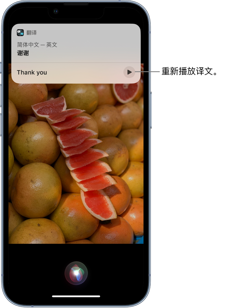 讷河苹果14维修分享 iPhone 14 机型中使用 Siri：了解 Siri 能帮你做什么 