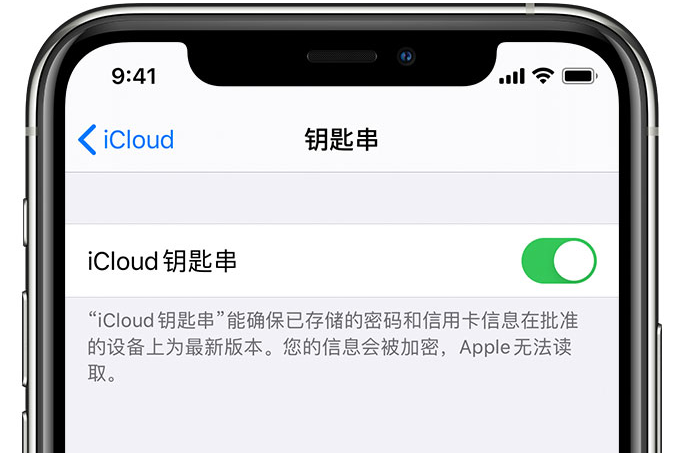 讷河苹果手机维修分享在 iPhone 上开启 iCloud 钥匙串之后会储存哪些信息 